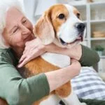 Providing a New Perspective to Owning a Pet