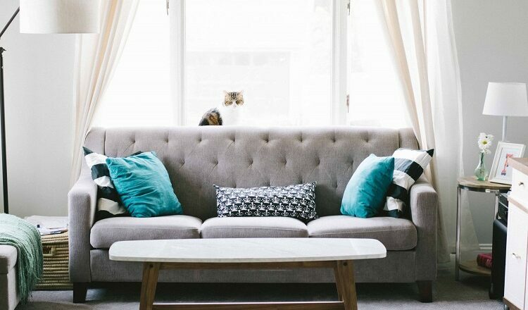 Choosing foam cushions for your home