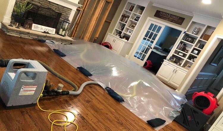 After The Flood: How A Water Restoration Company Brings Your Property Back To Life?